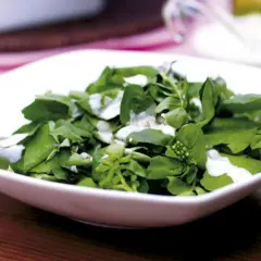 En fräsch sallad till grillat, med gröna blad och en krämig dressing. Perfekt som tillbehör.
