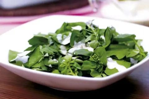 En fräsch sallad till grillat, med gröna blad och en krämig dressing. Perfekt som tillbehör.