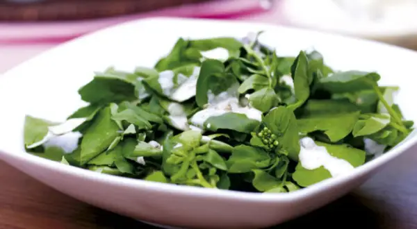 En fräsch sallad till grillat, med gröna blad och en krämig dressing. Perfekt som tillbehör.